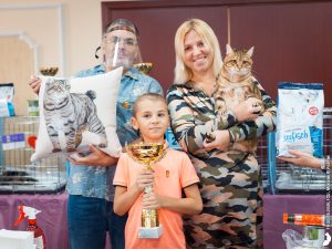 Питомник Курильских бобтейлов | Лучший кот курильского бобтейла выставочного сезона